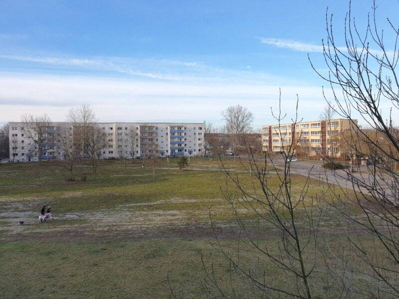 image-67409834