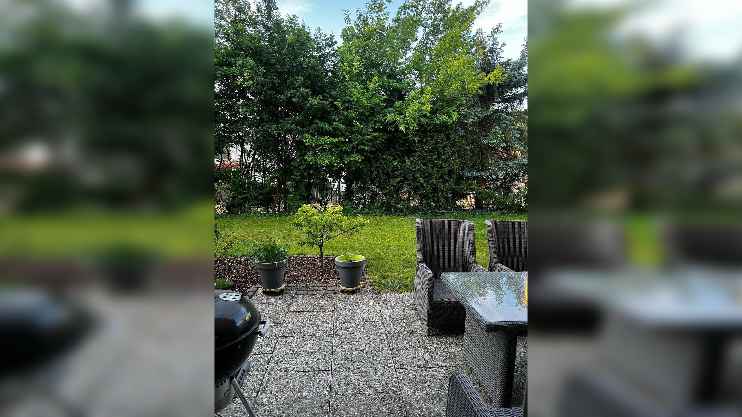 image-67438579