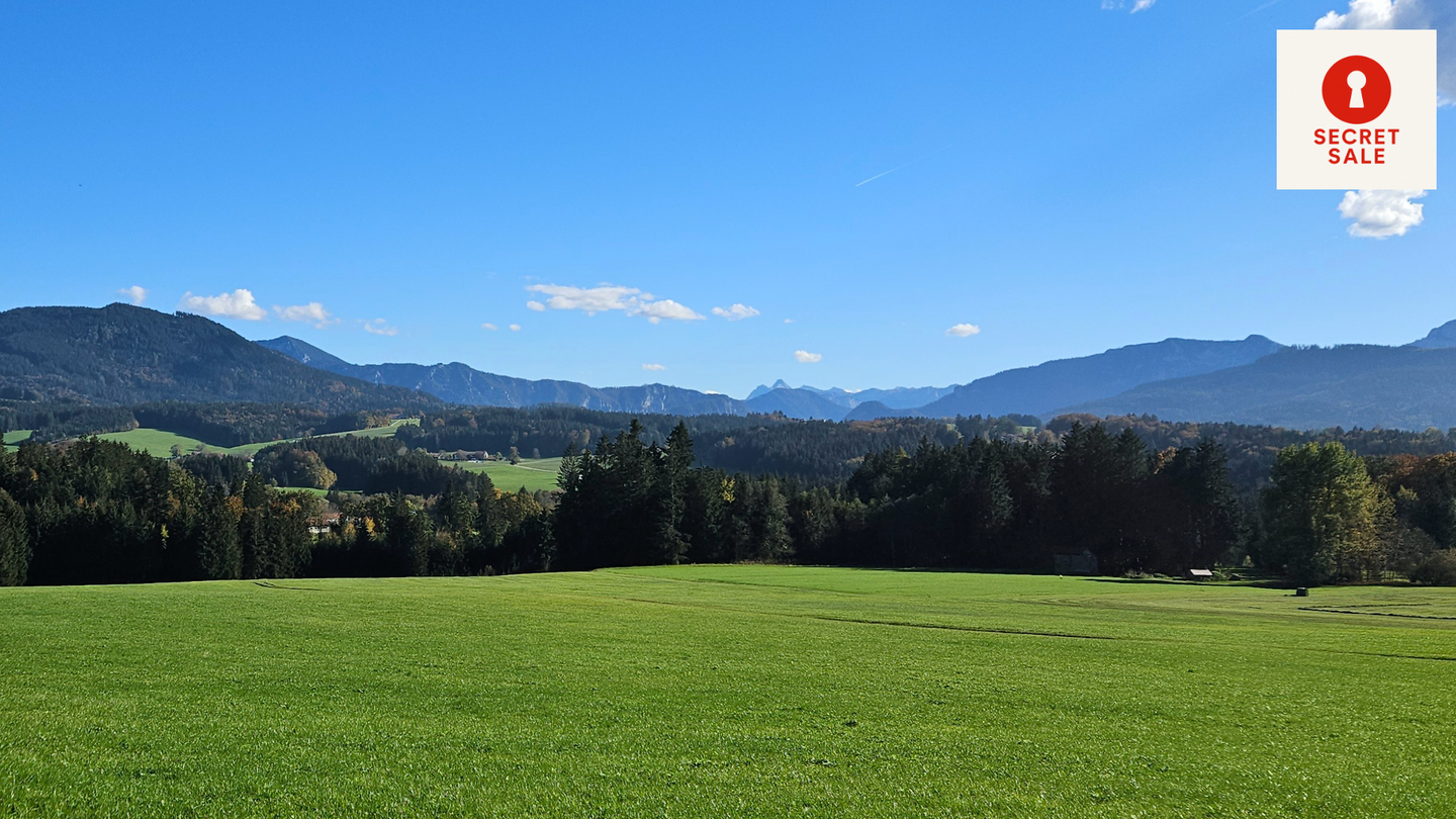 image-67450074