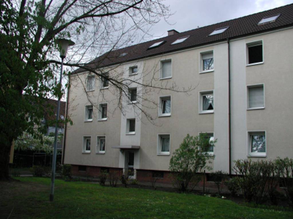 image-67470547