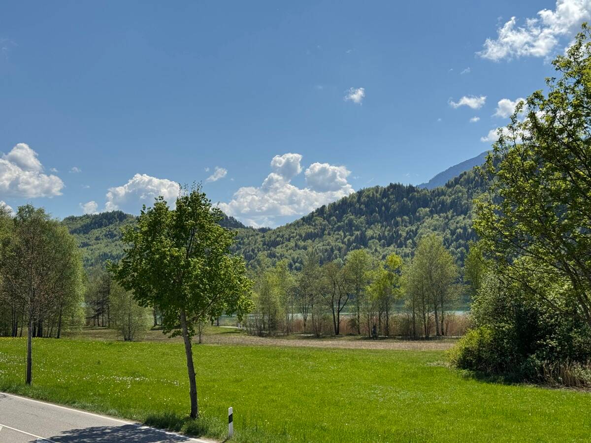image-67472161