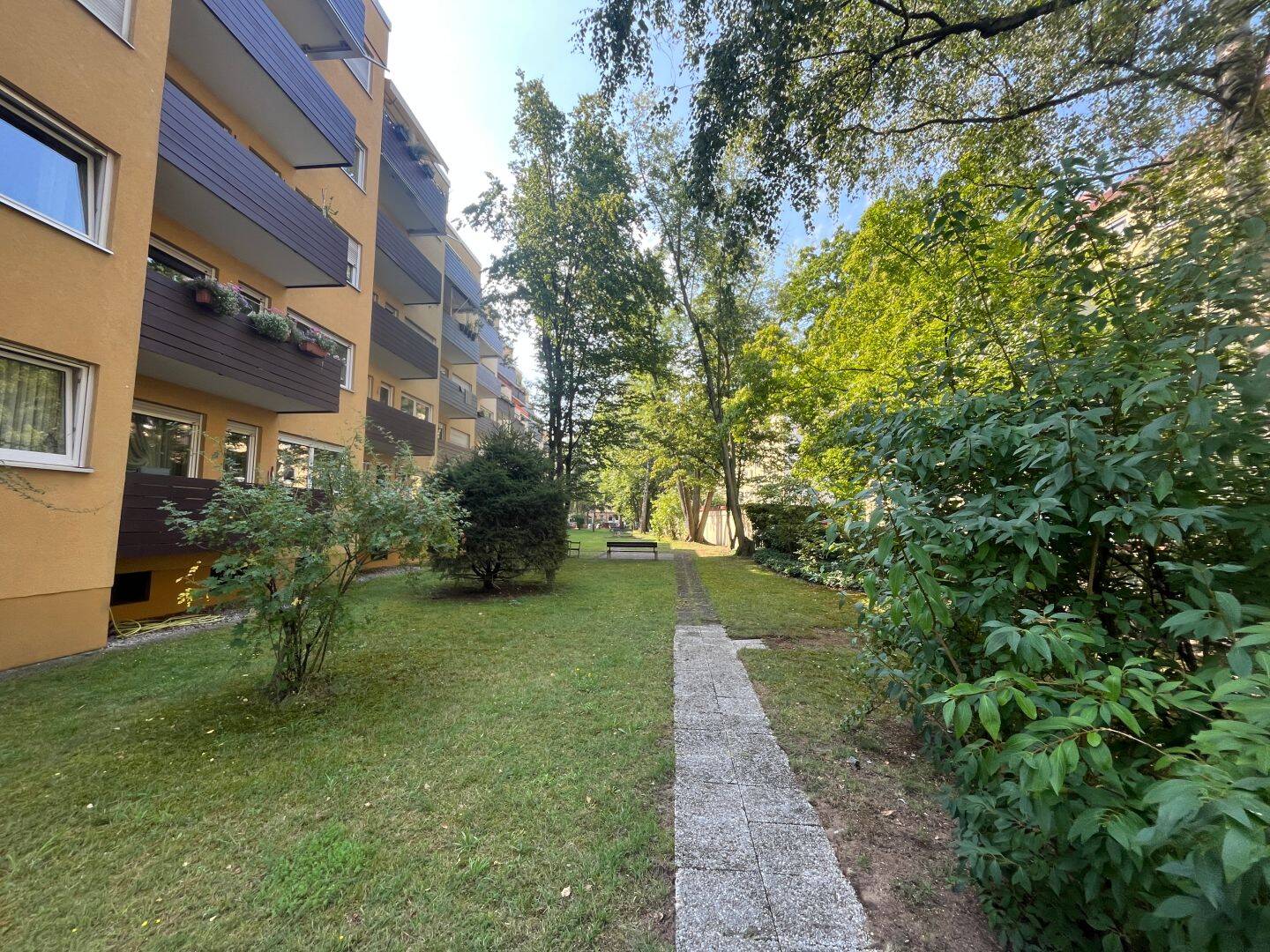 image-67495890