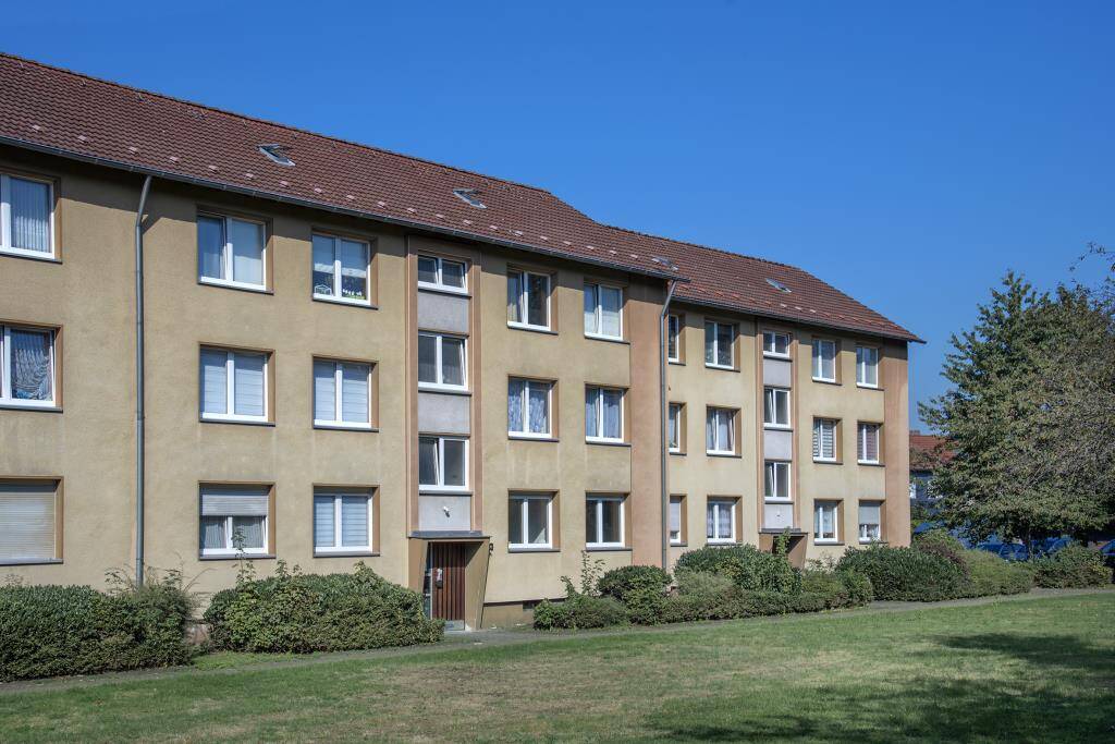 image-67497701