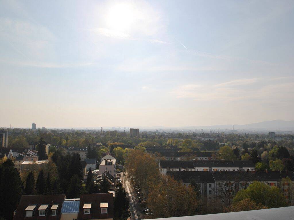 image-67505550