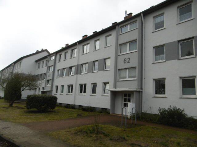 image-67505970
