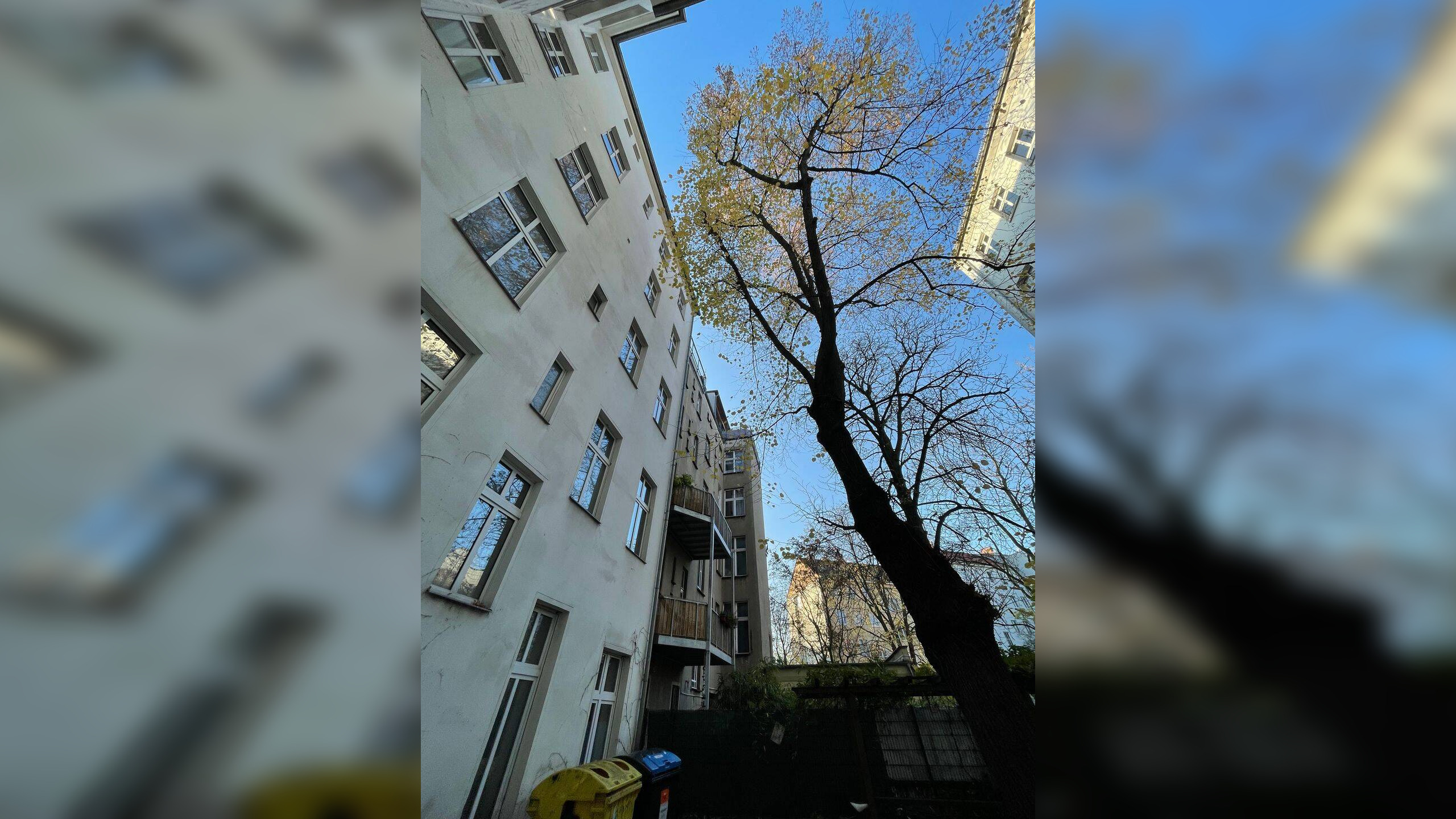 image-67527460