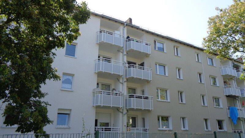 image-67530788