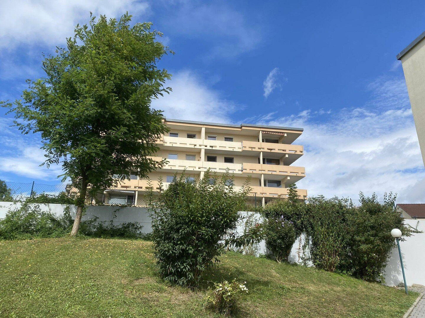 image-67566494