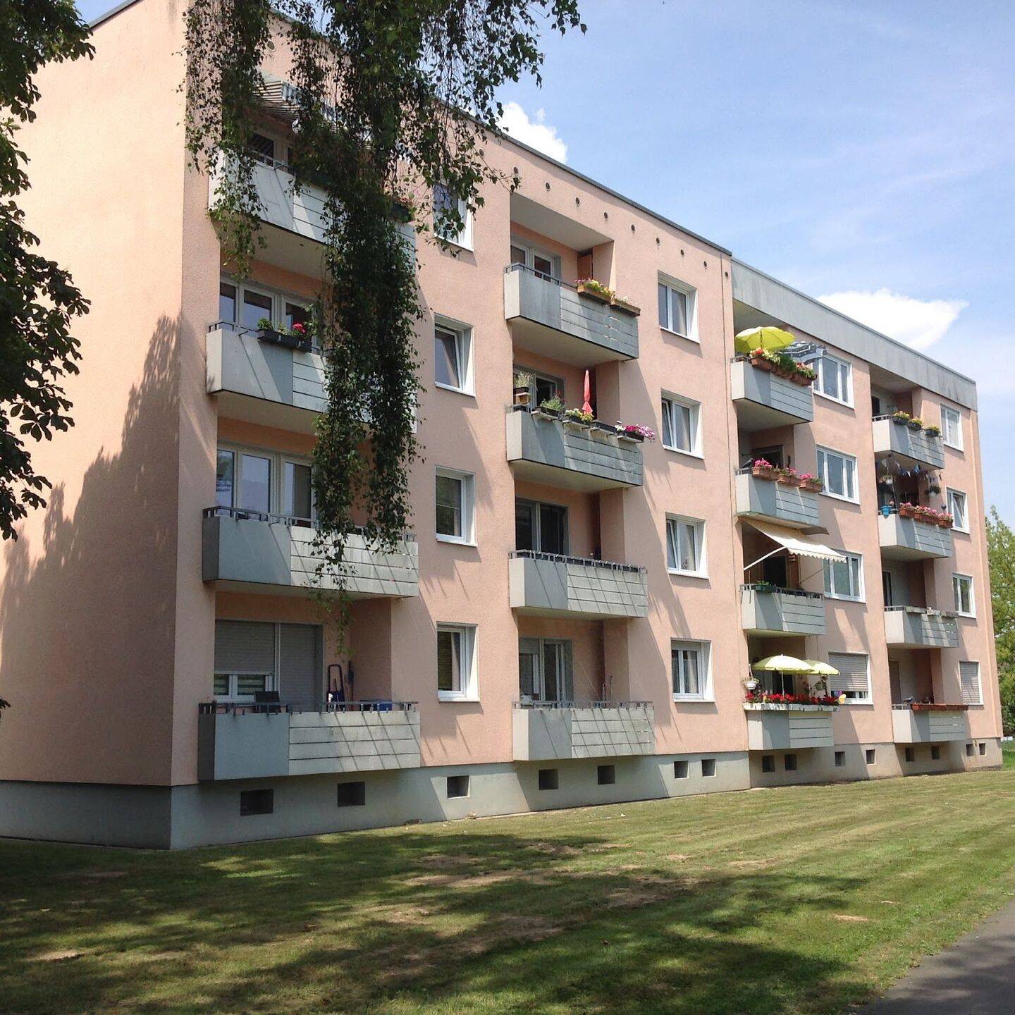 image-67569534