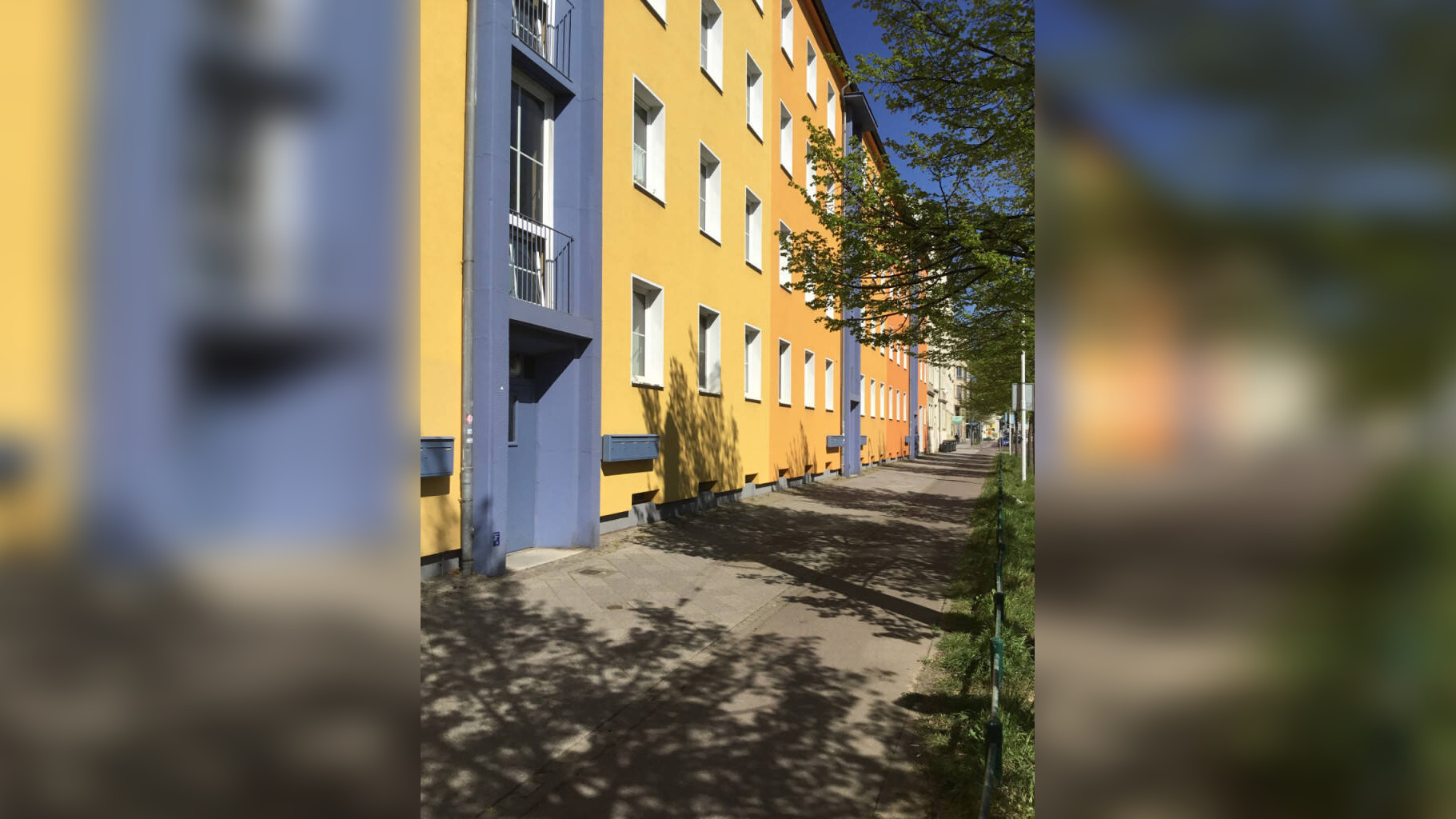 image-67584517