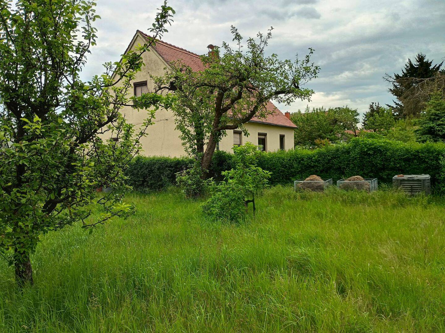 image-67599679