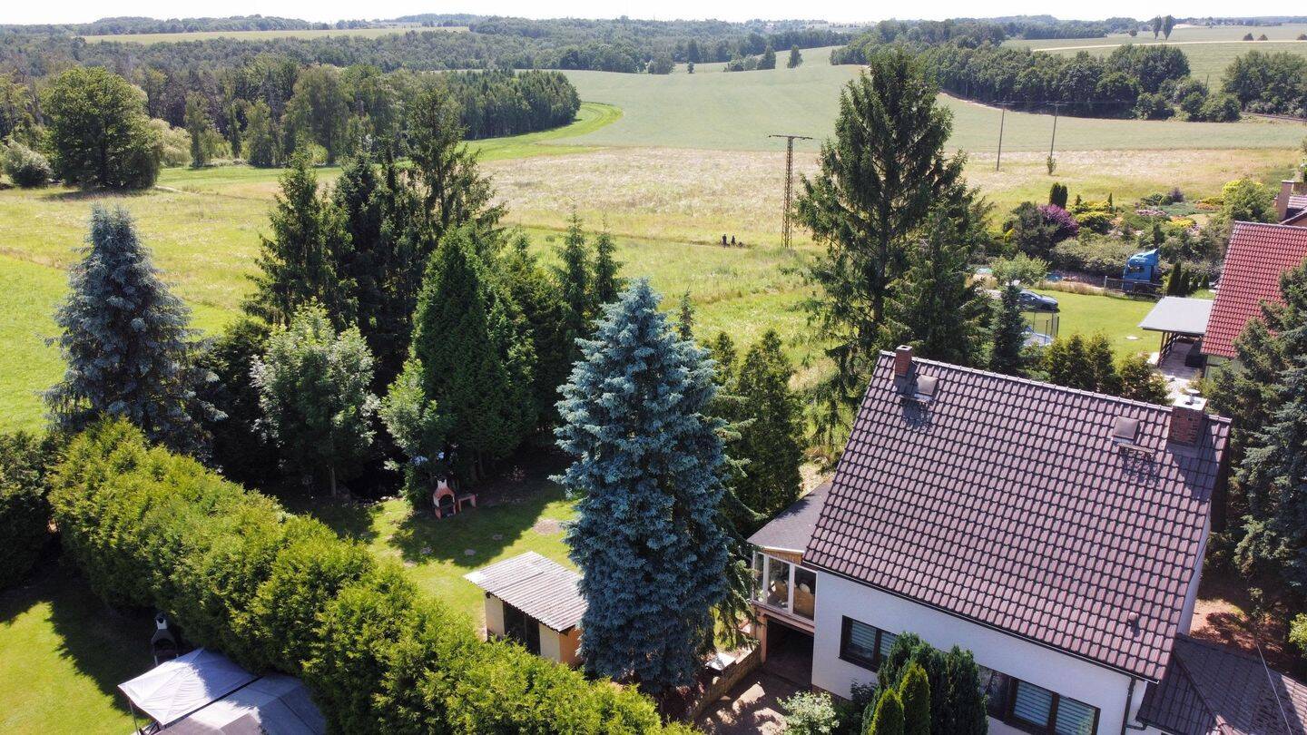image-67601322