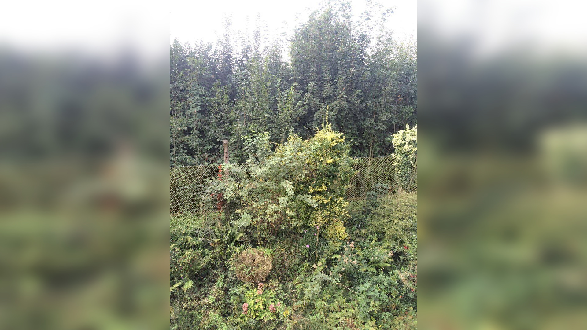 image-67602027