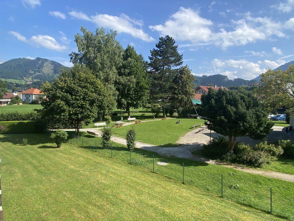 image-67611337