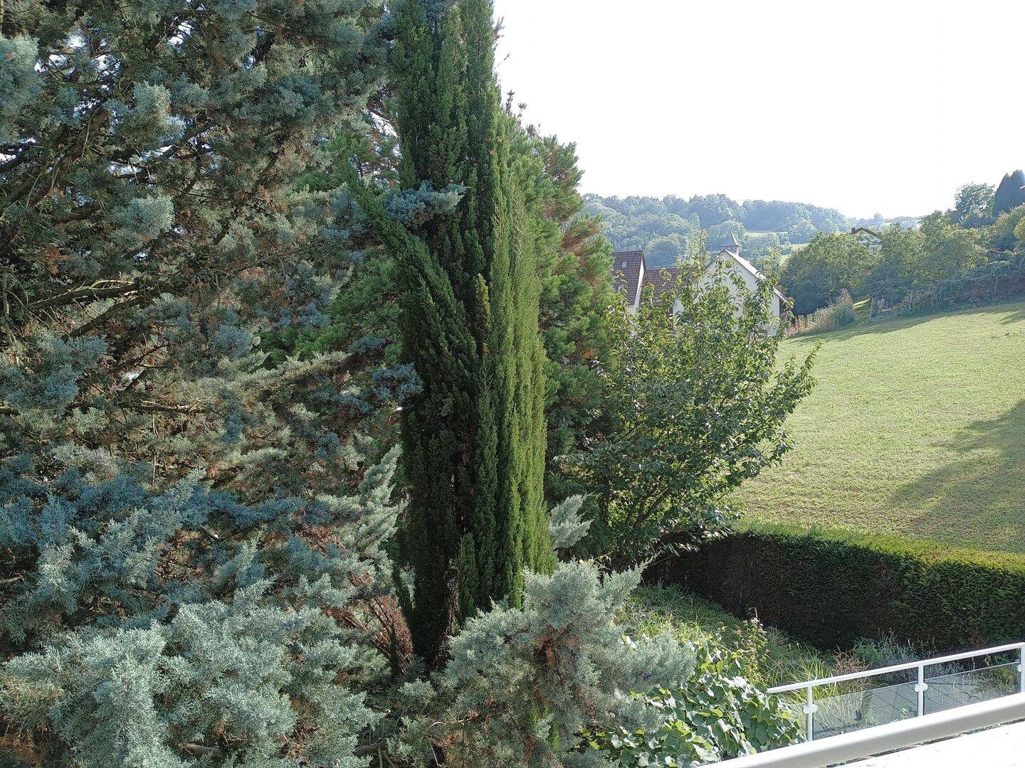 image-67634090