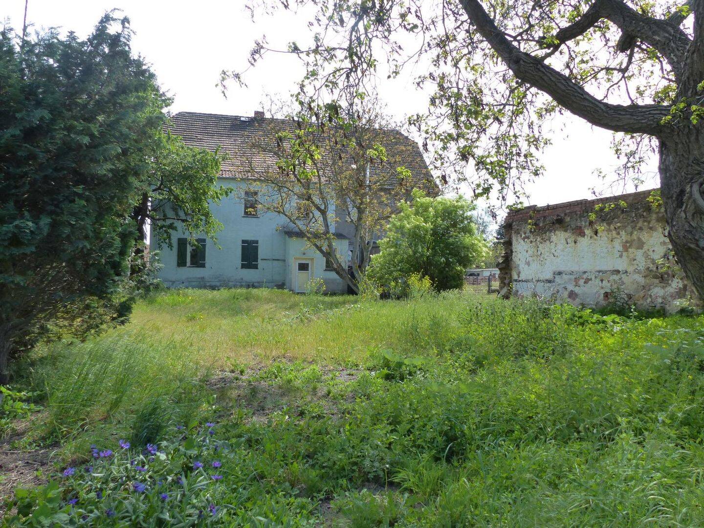 image-67643074