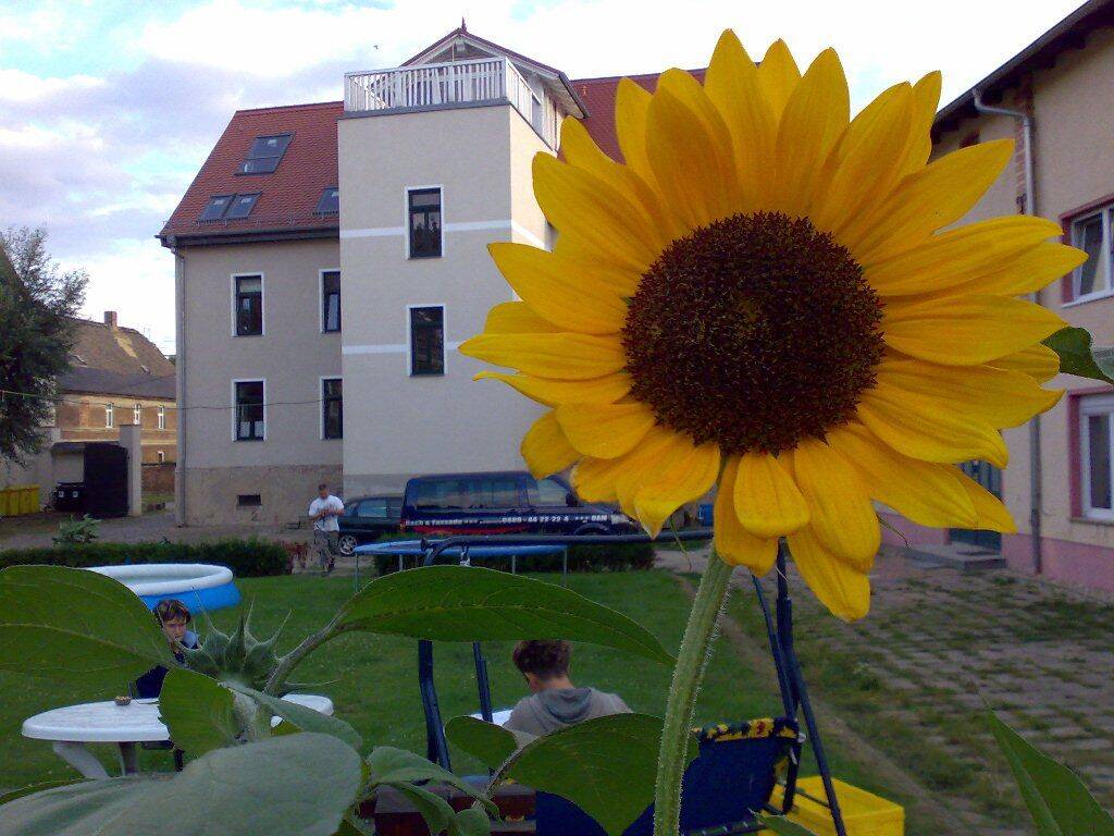 image-67643258