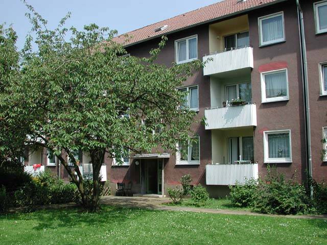 image-67645986