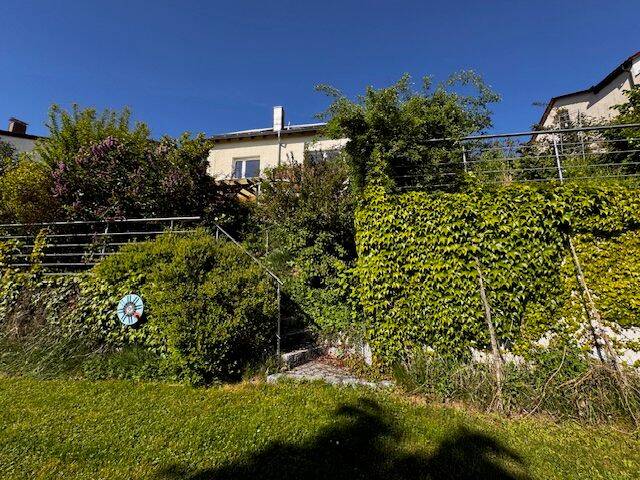 image-67655542