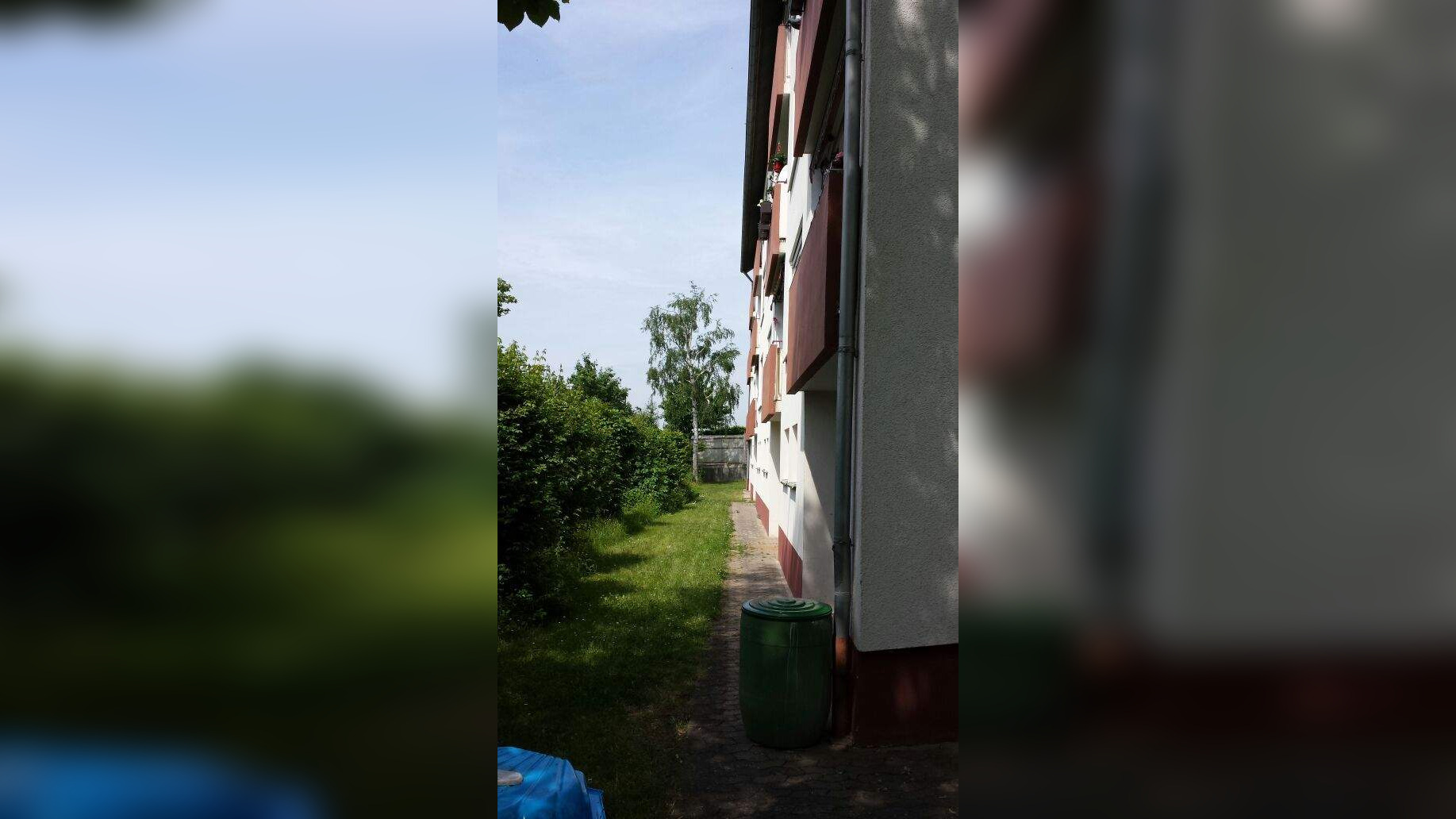 image-67668995
