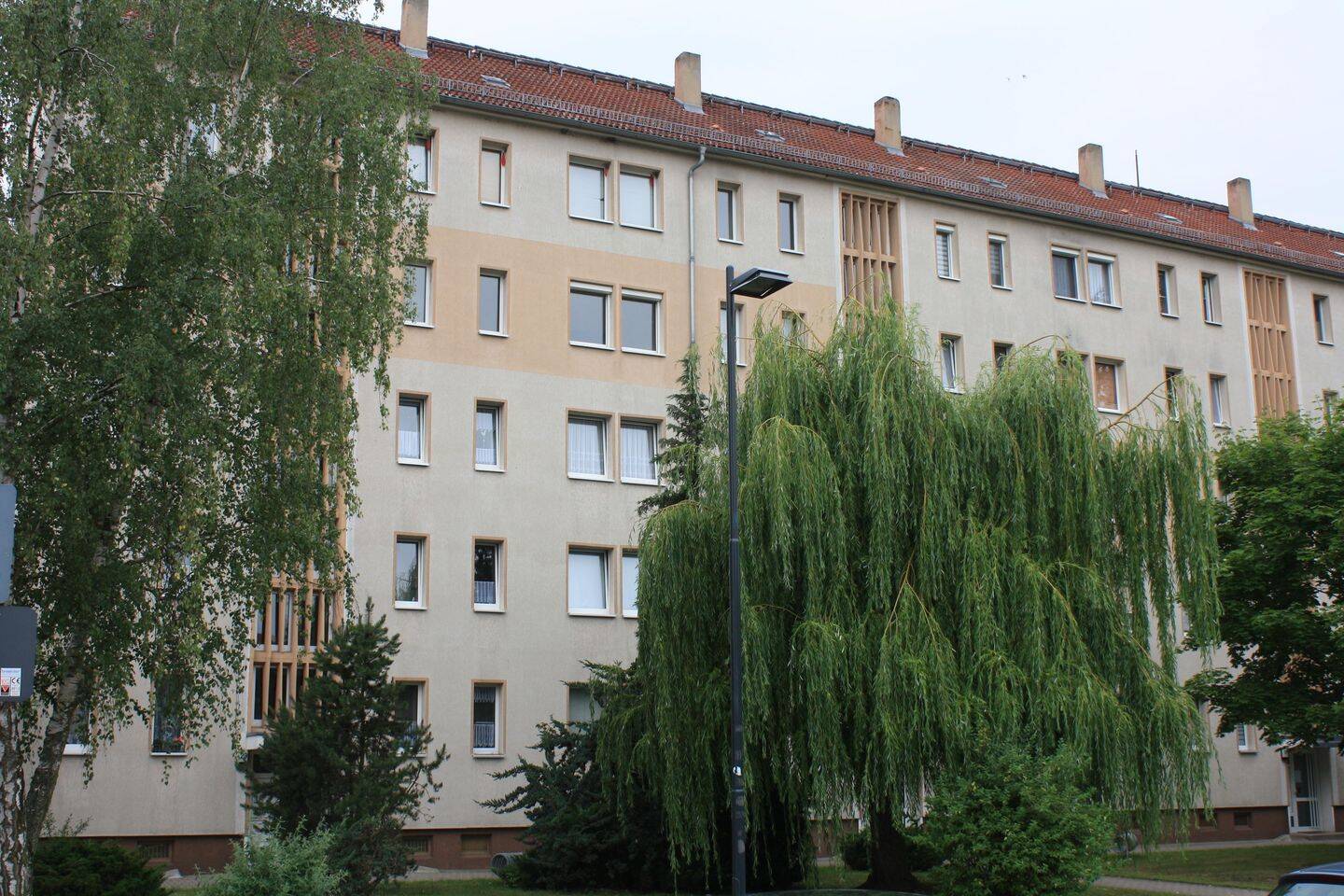 image-67681631