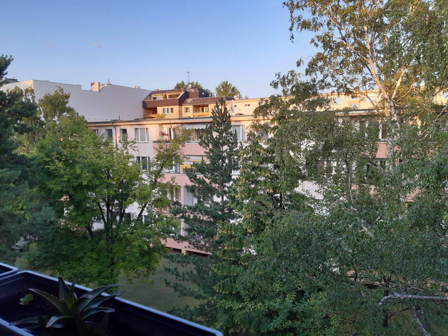 image-67695935