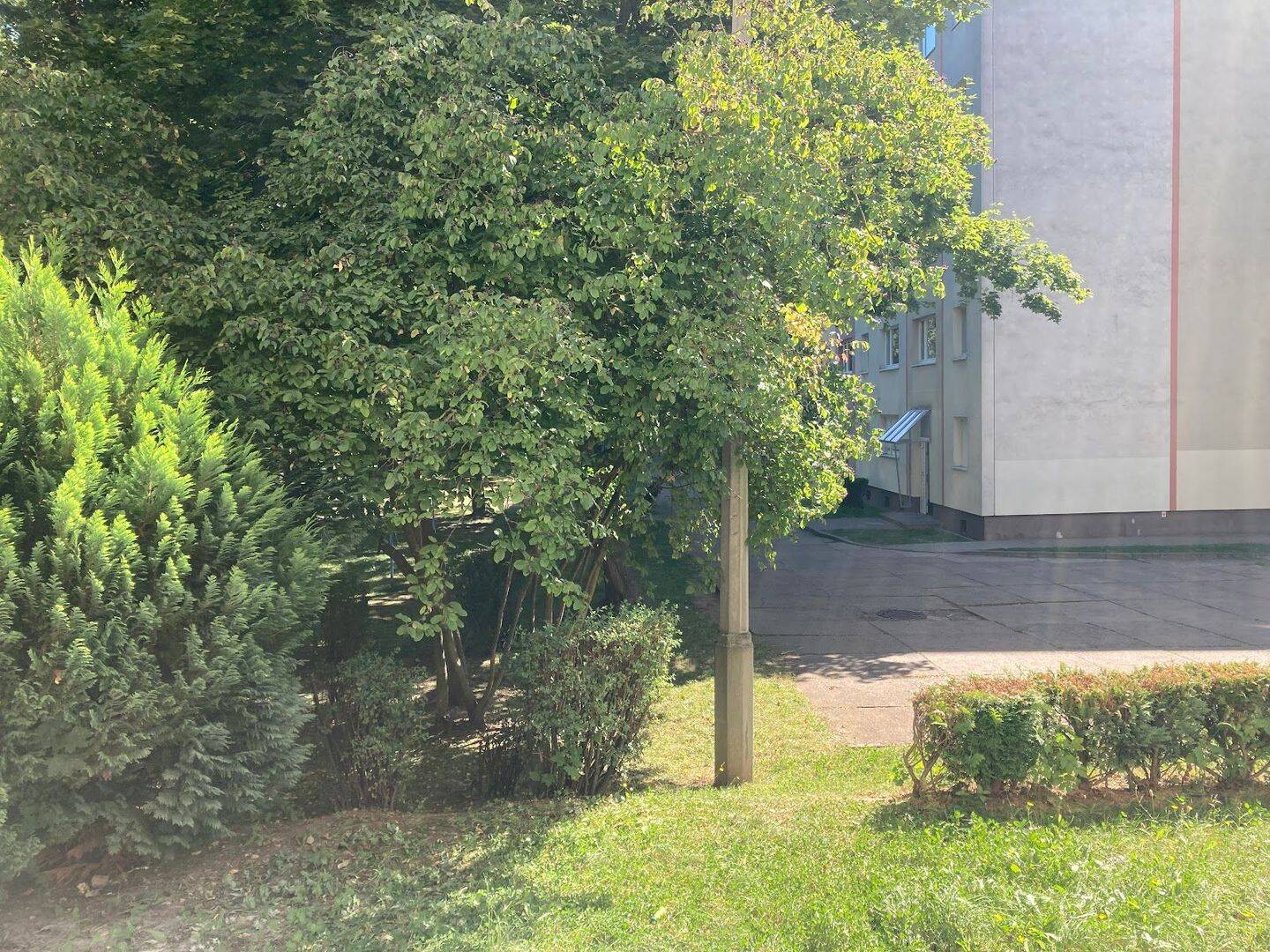 image-67698184