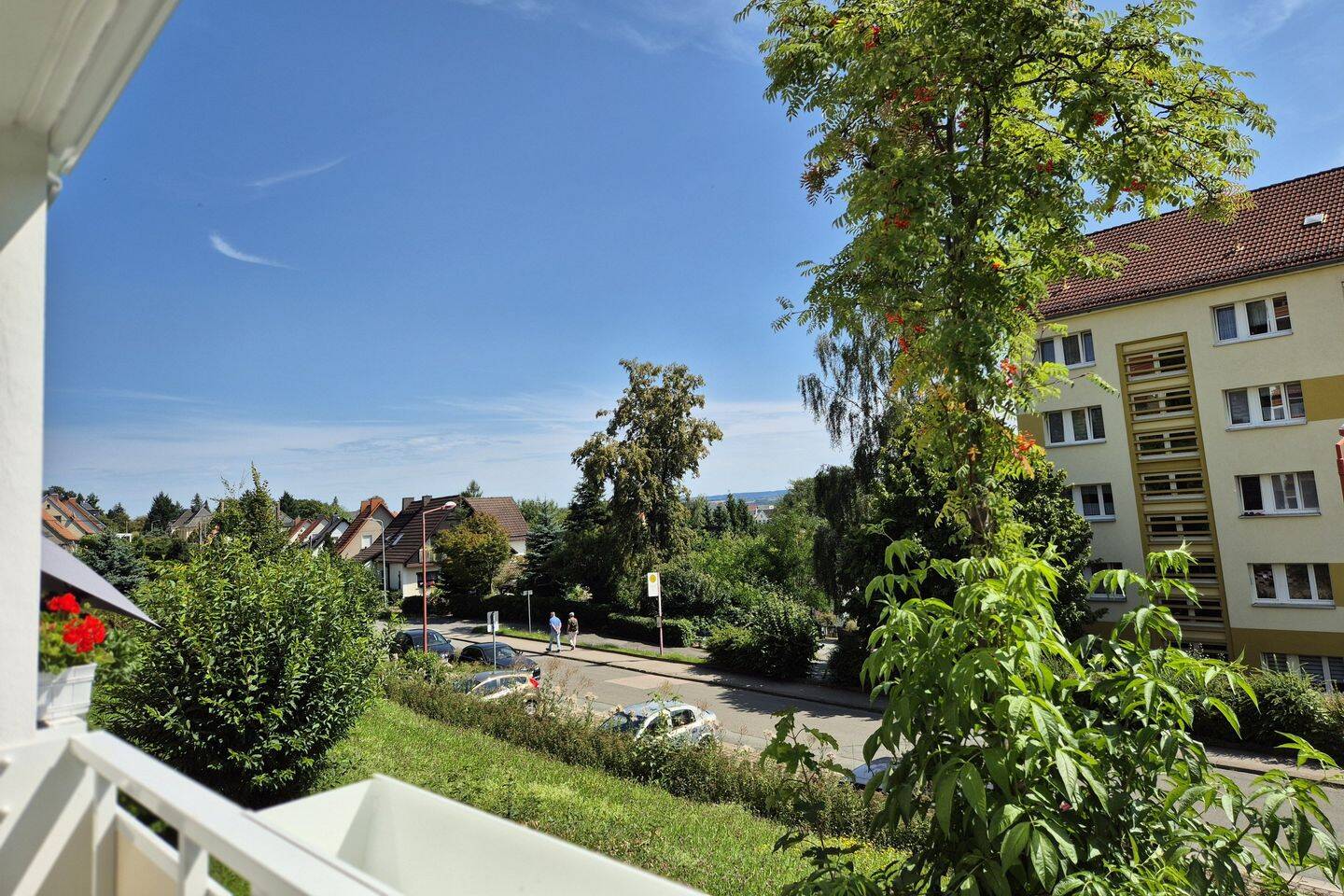 image-67698655