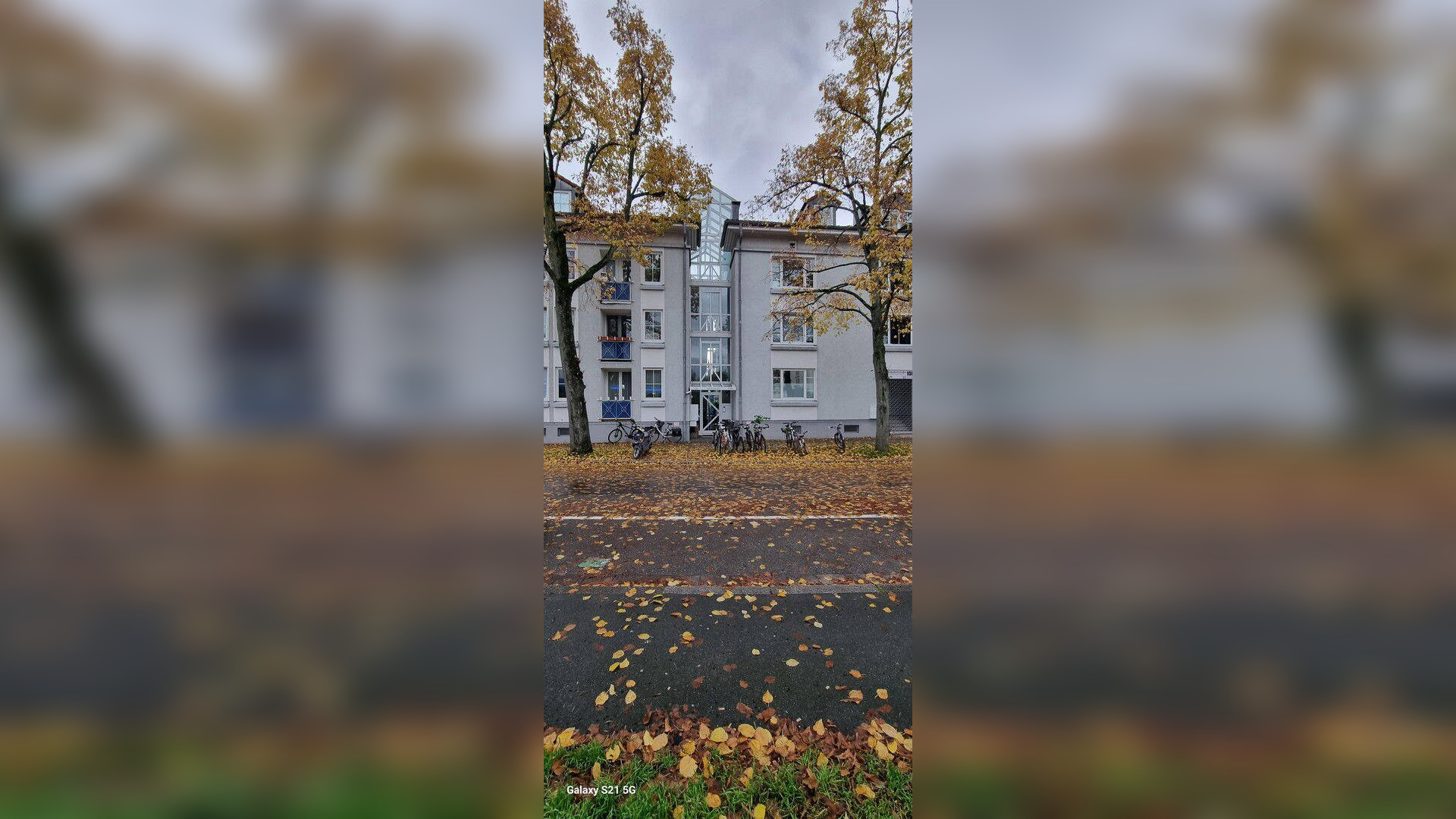image-67701363