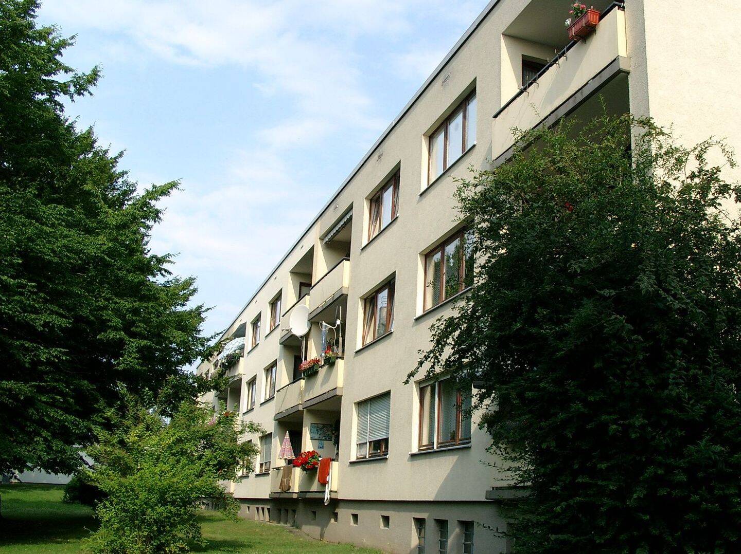 image-67708742