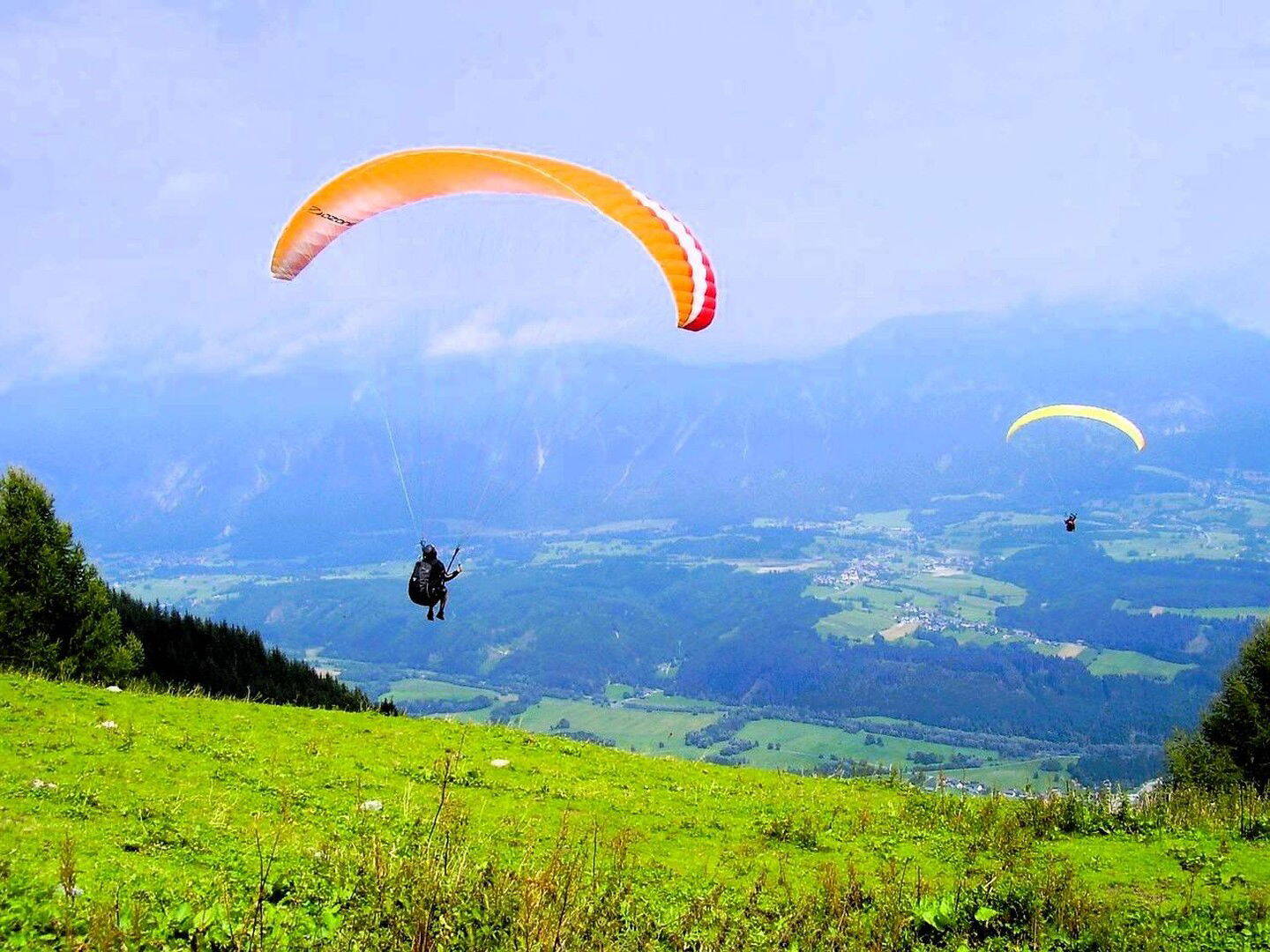 Bild 1