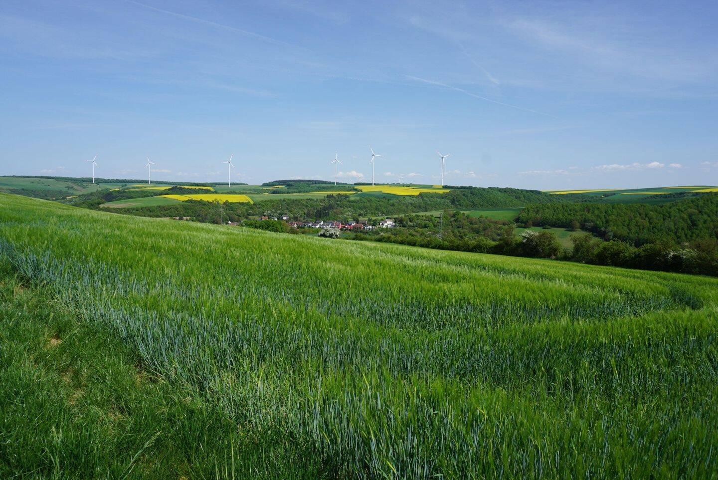 image-67720316