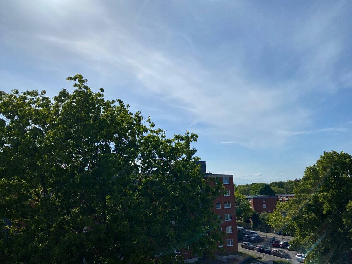 image-67725052