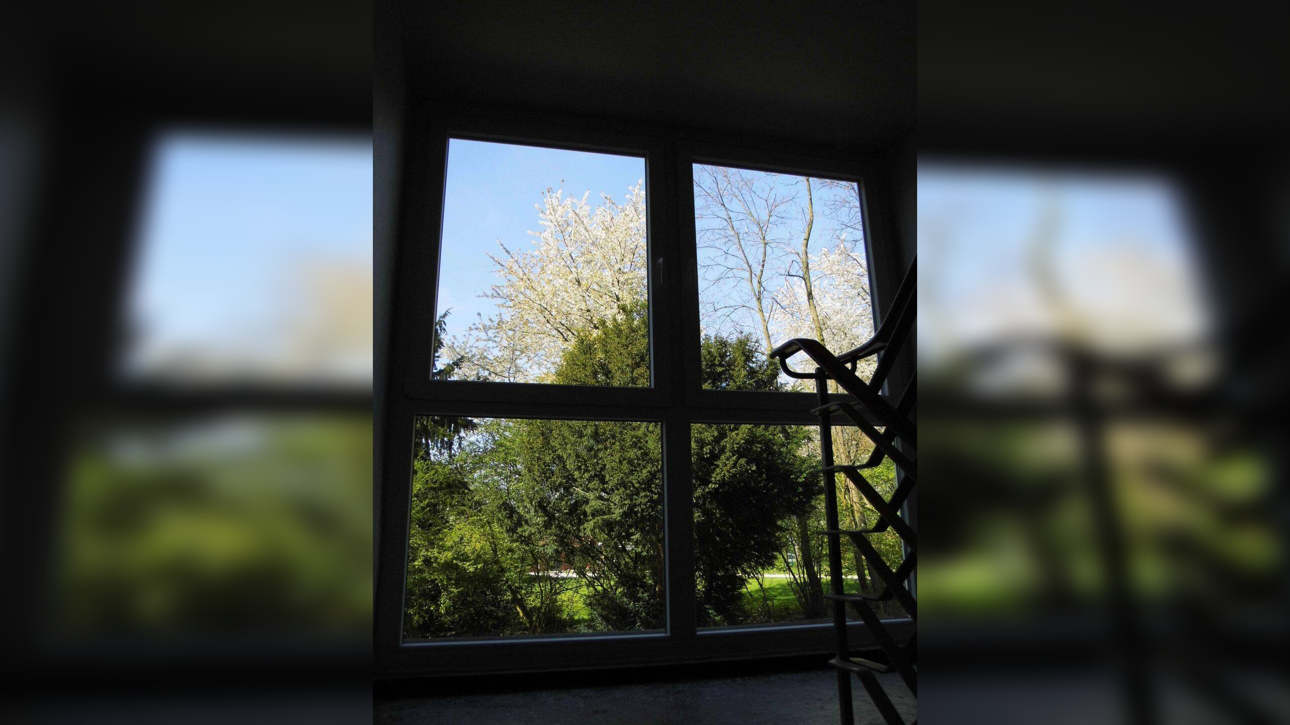 image-67727127