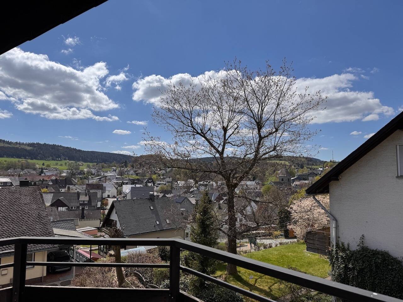 image-67739721