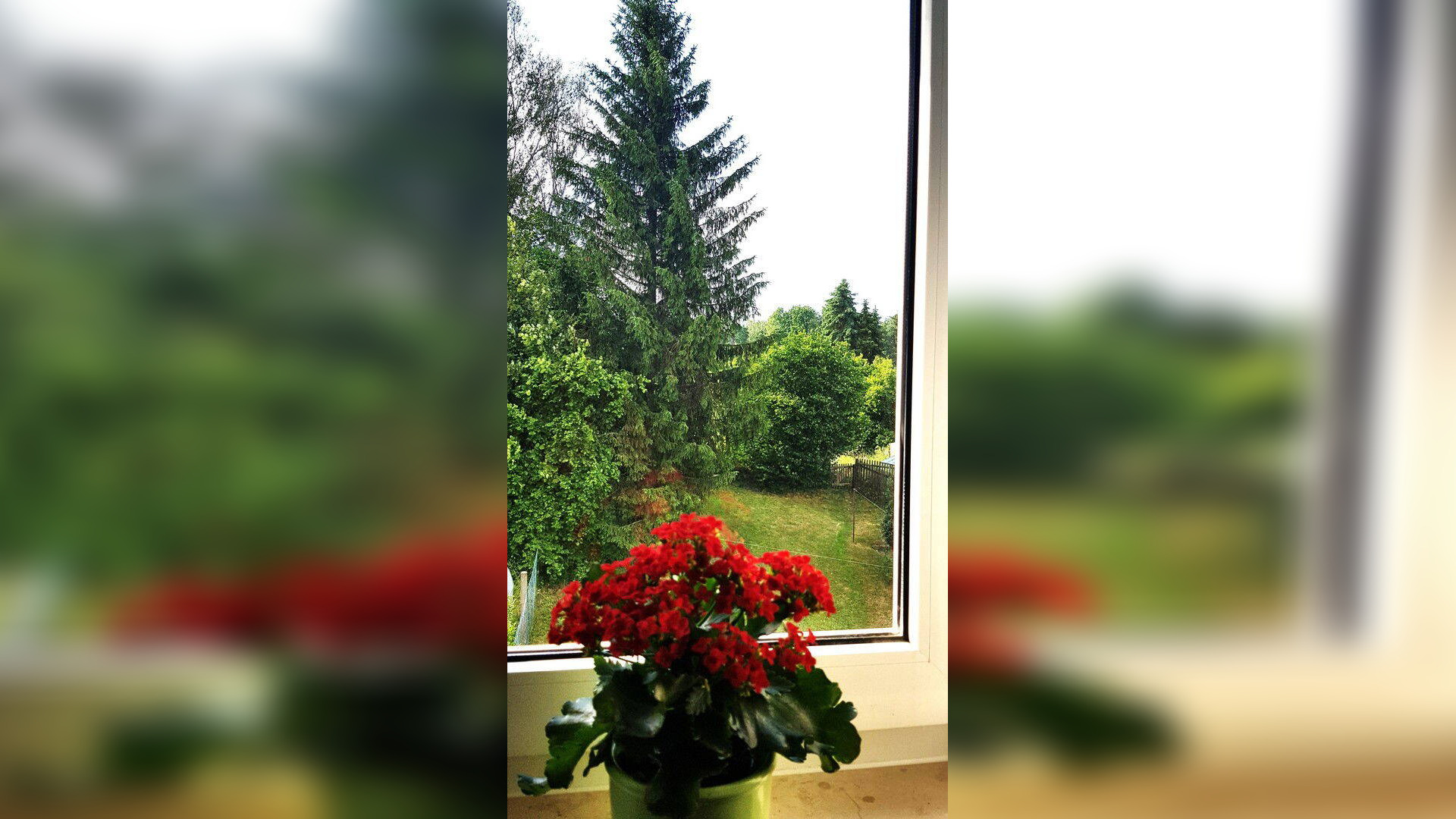 image-67773618