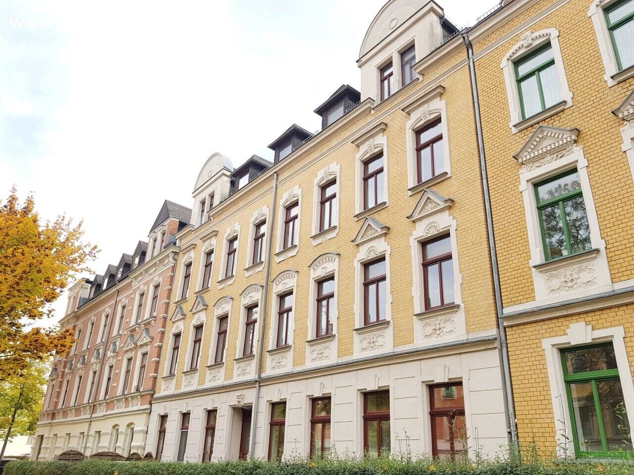 image-67773762