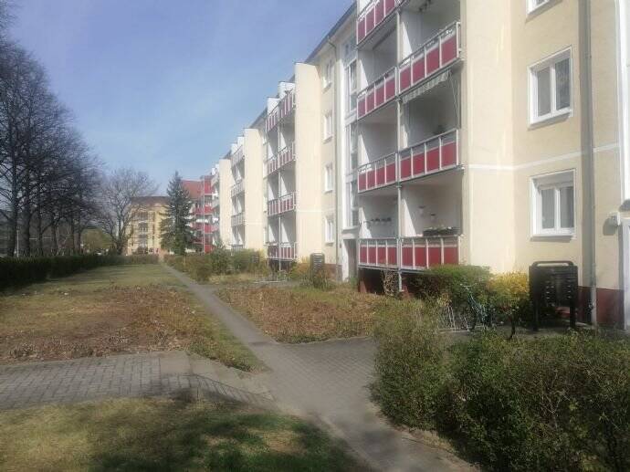 image-67774734