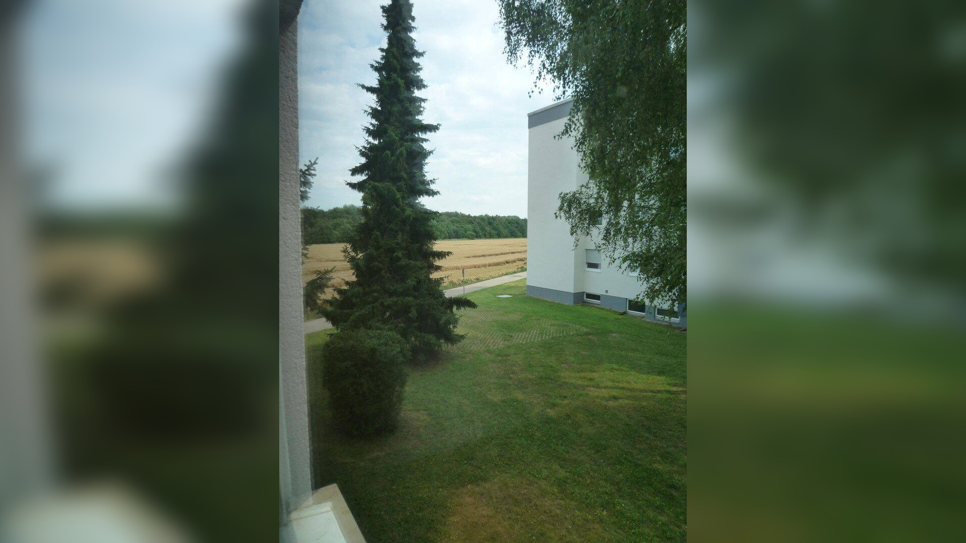 image-67787014