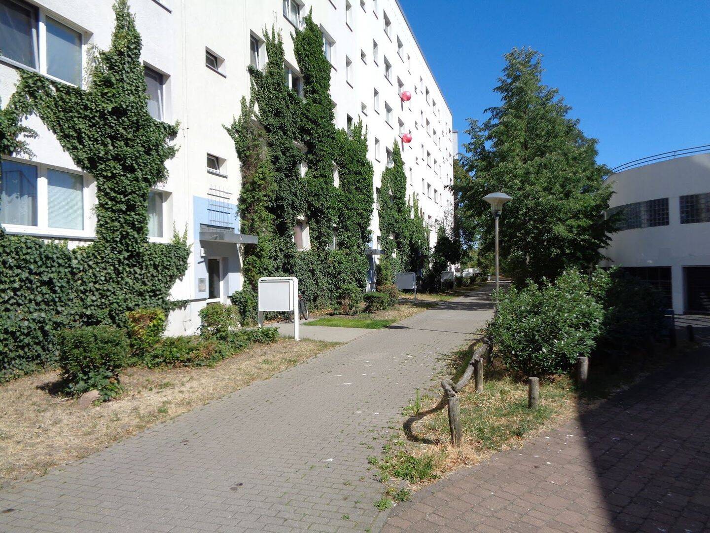image-67800036