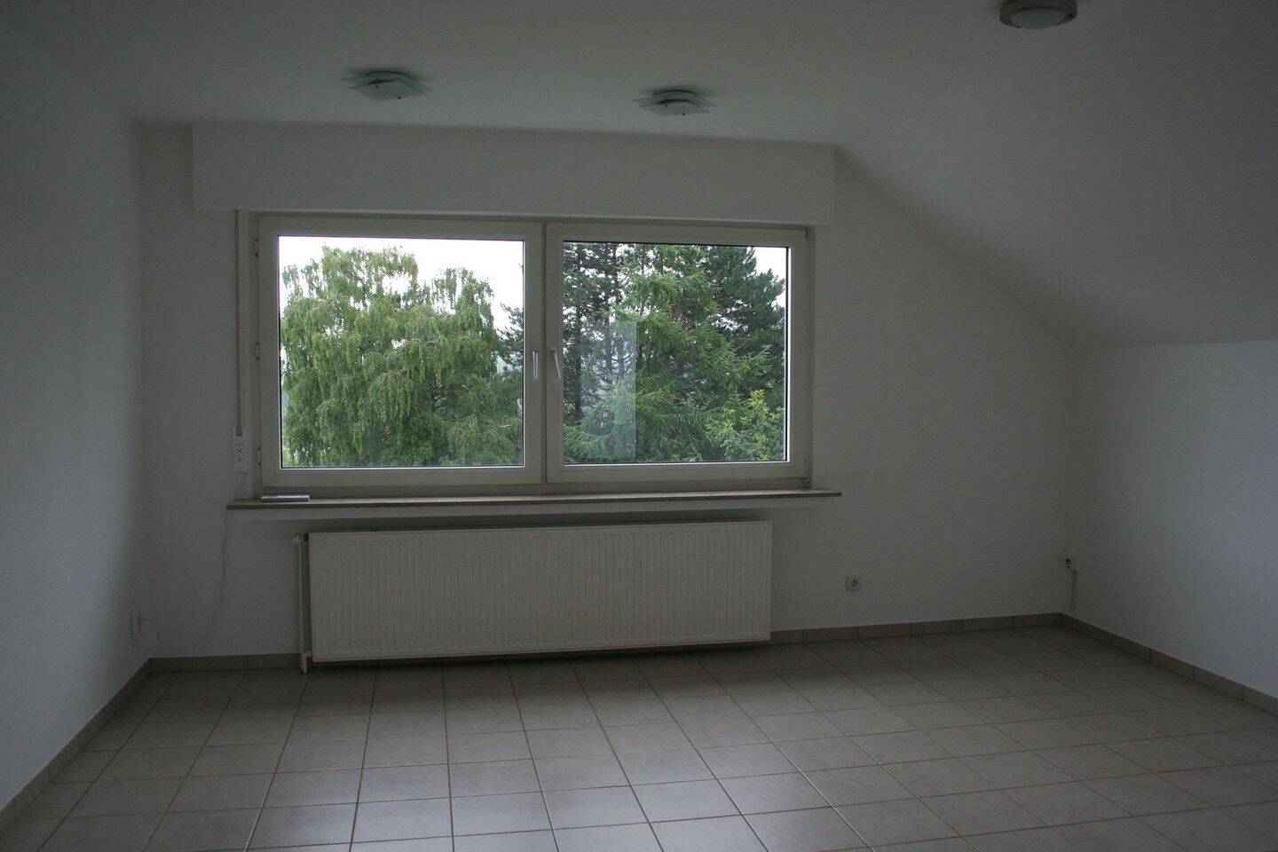 image-67817436