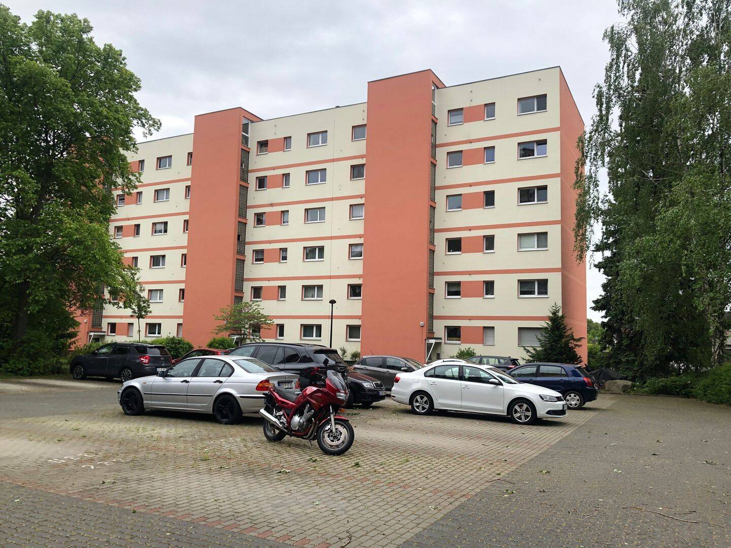 image-67819685