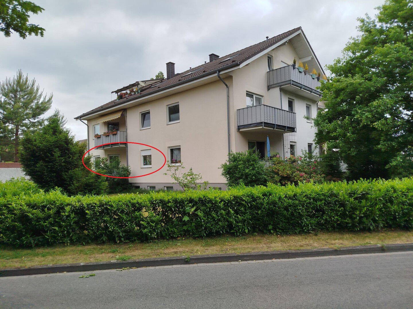image-67821073