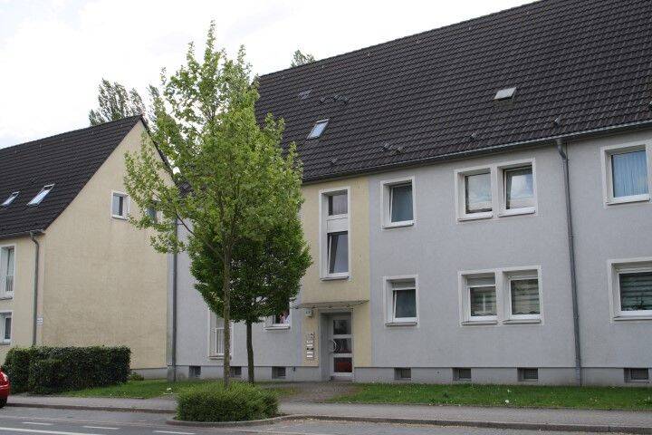 image-67874237