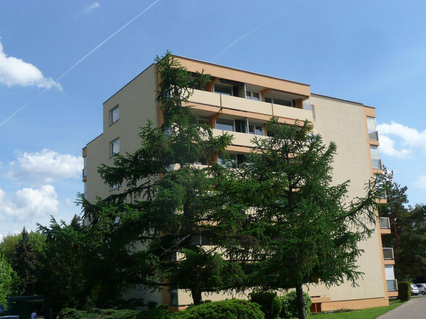 image-67876833