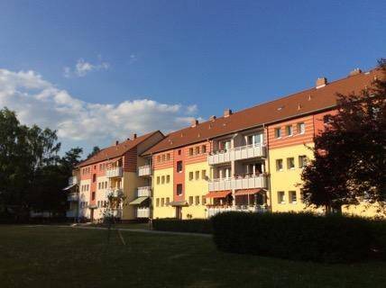 image-67882709