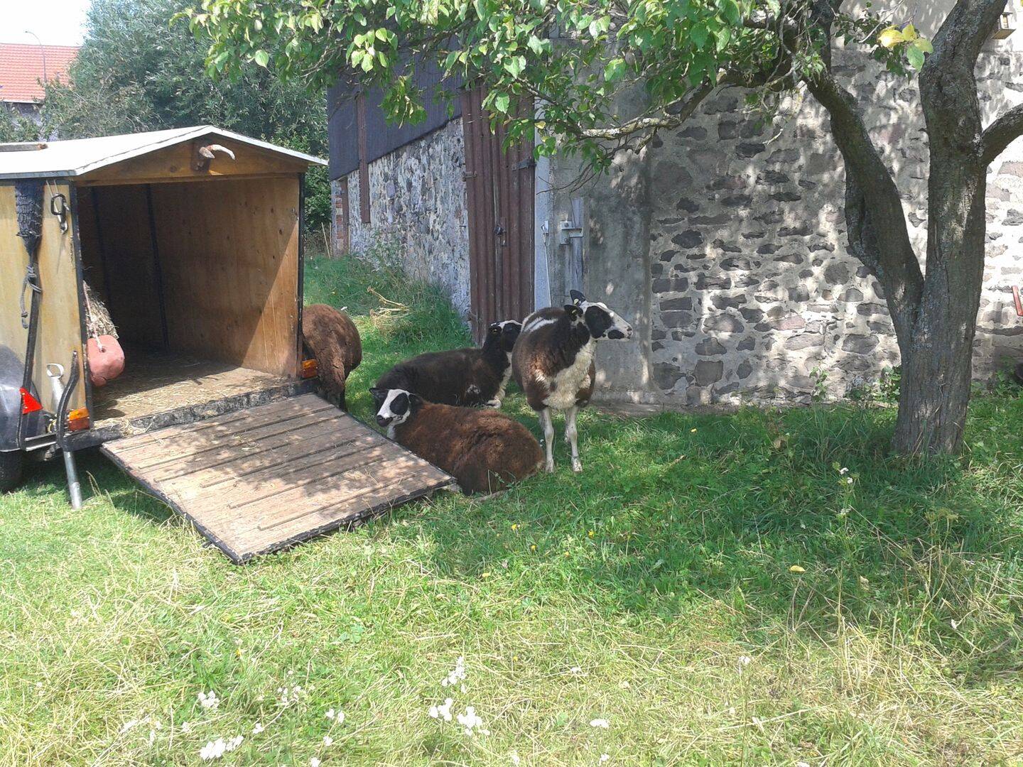 image-67890606