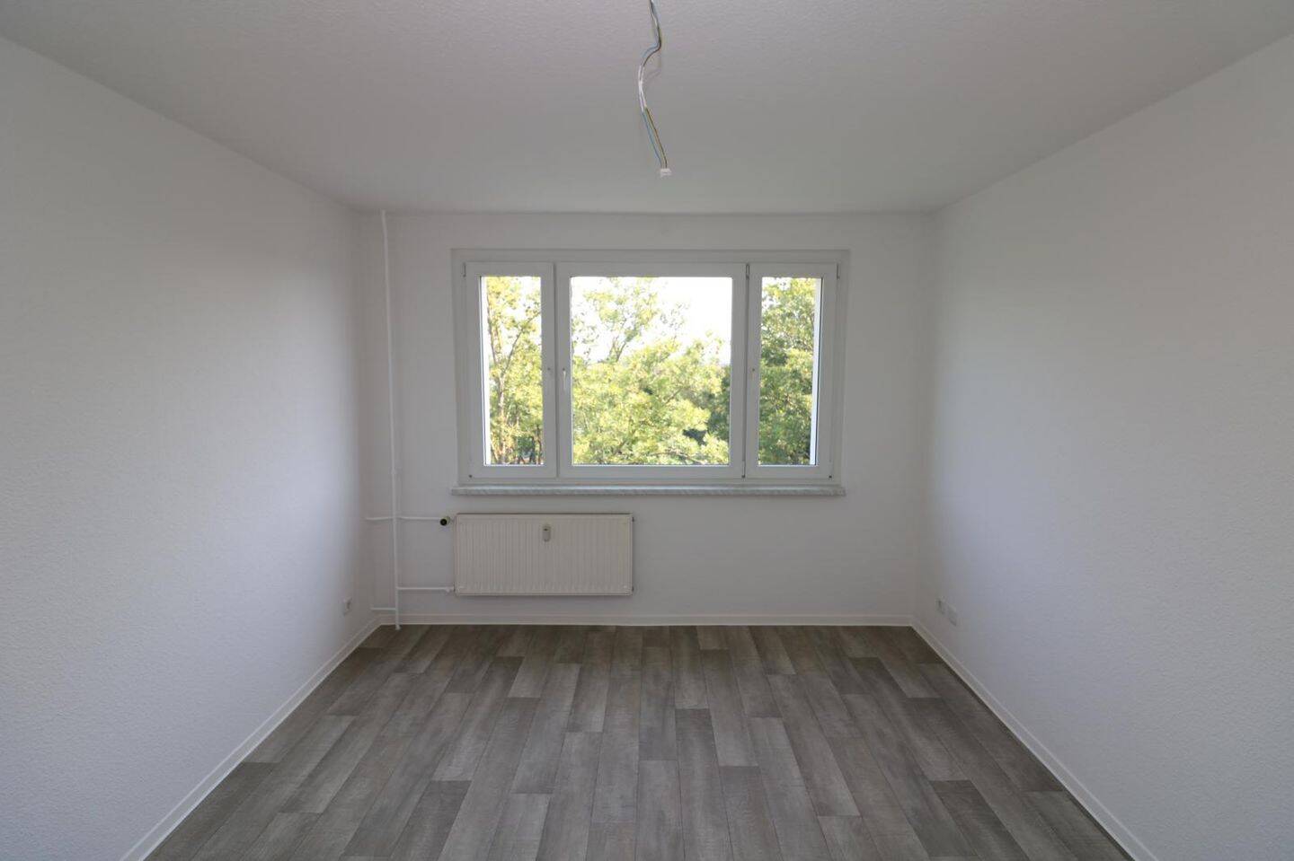 image-67897189