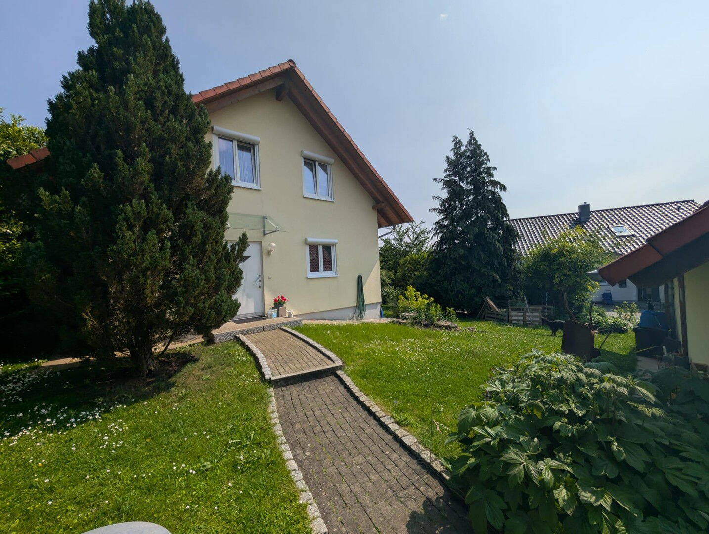image-67898564