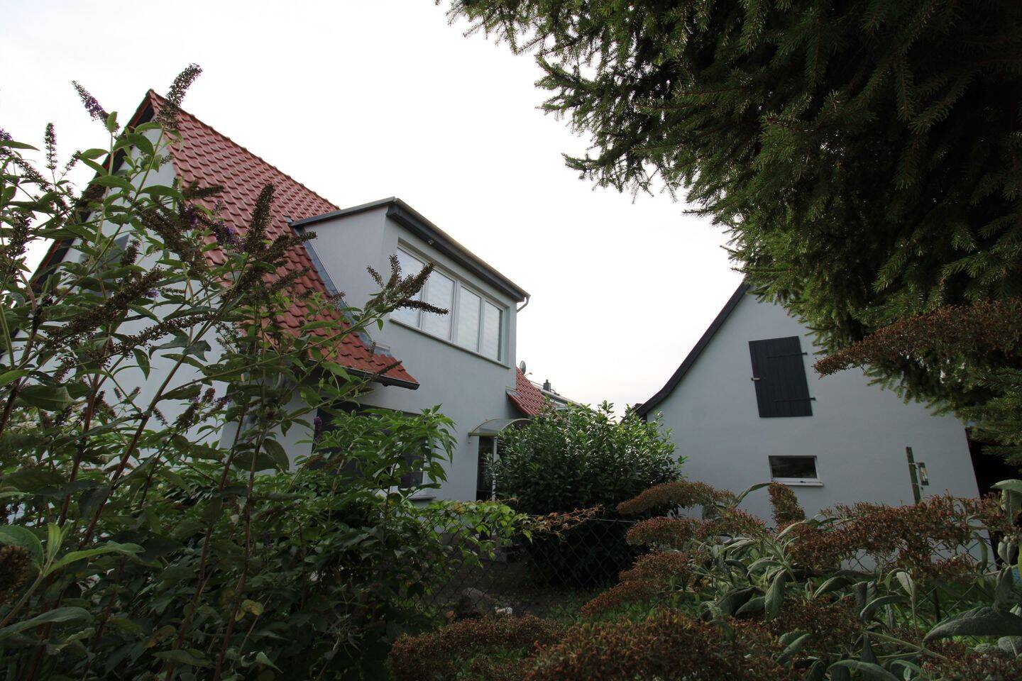 image-67900363